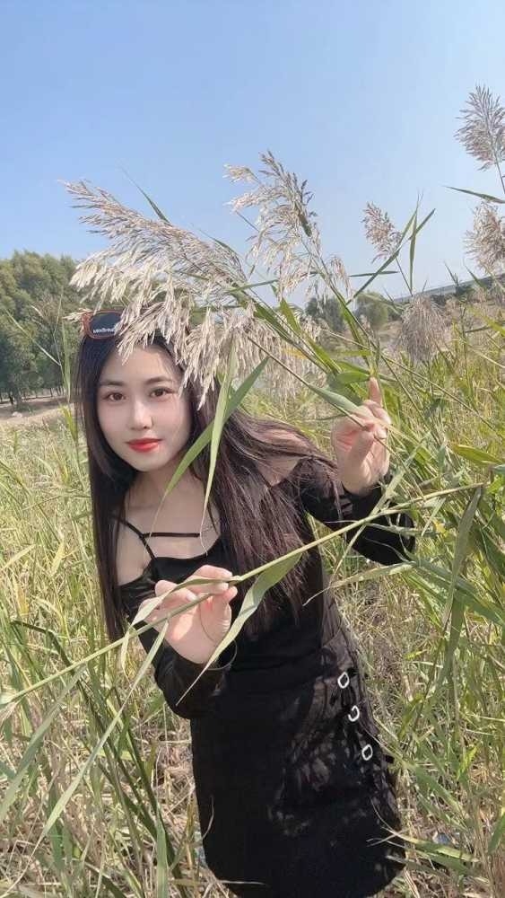 精彩照片